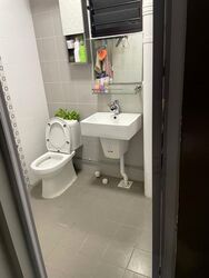 Blk 284 Ficus Vale (Yishun), HDB 3 Rooms #480617441